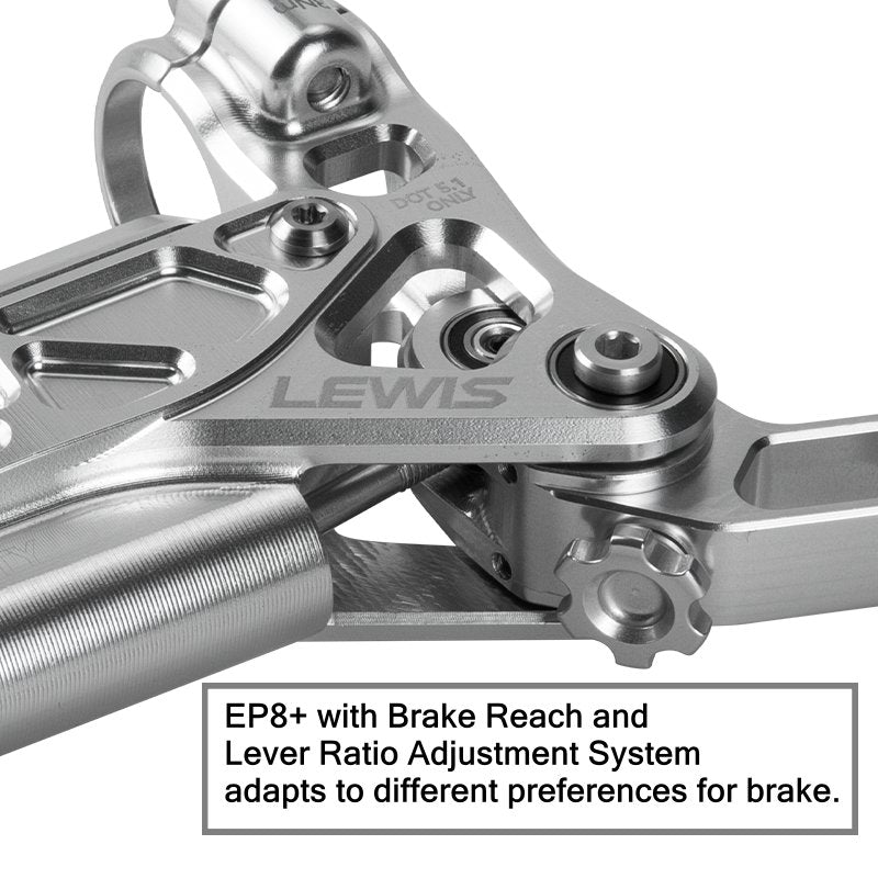 LEWIS EP8+ Rear Brake System for SurRon