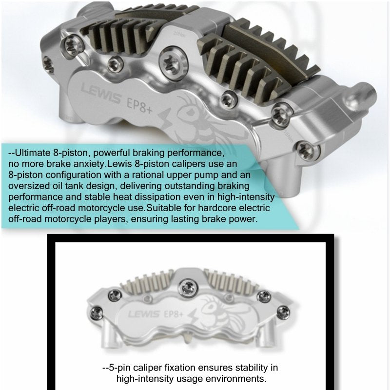 LEWIS EP8+ Rear Brake System for SurRon