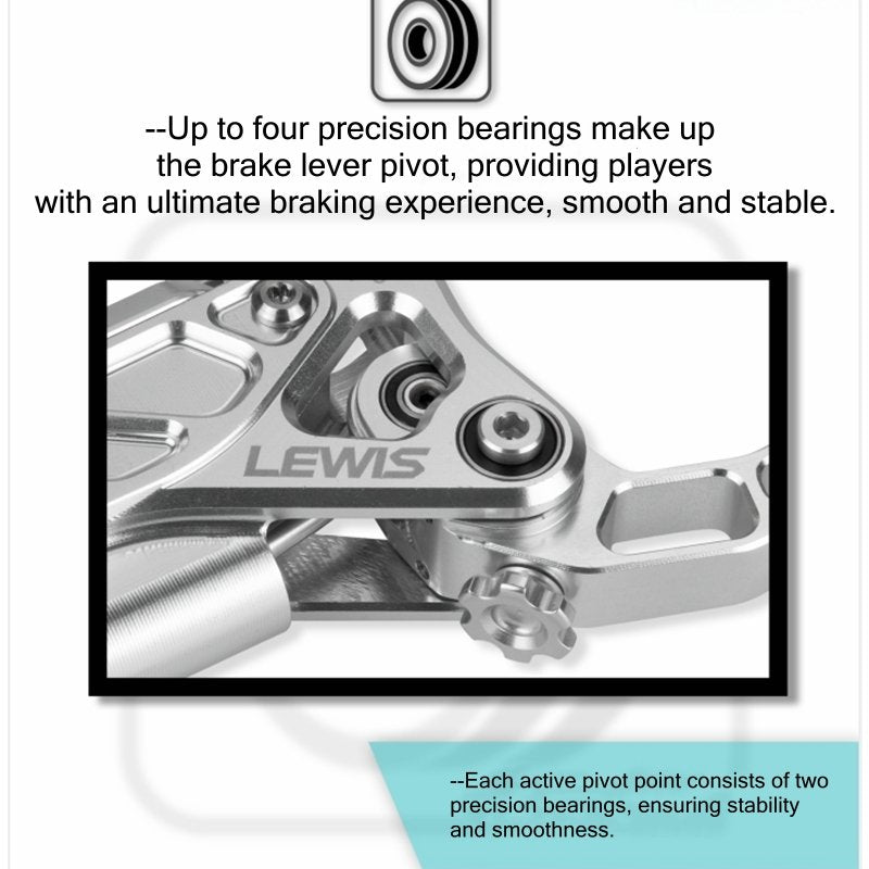 LEWIS EP8+ Rear Brake System for SurRon