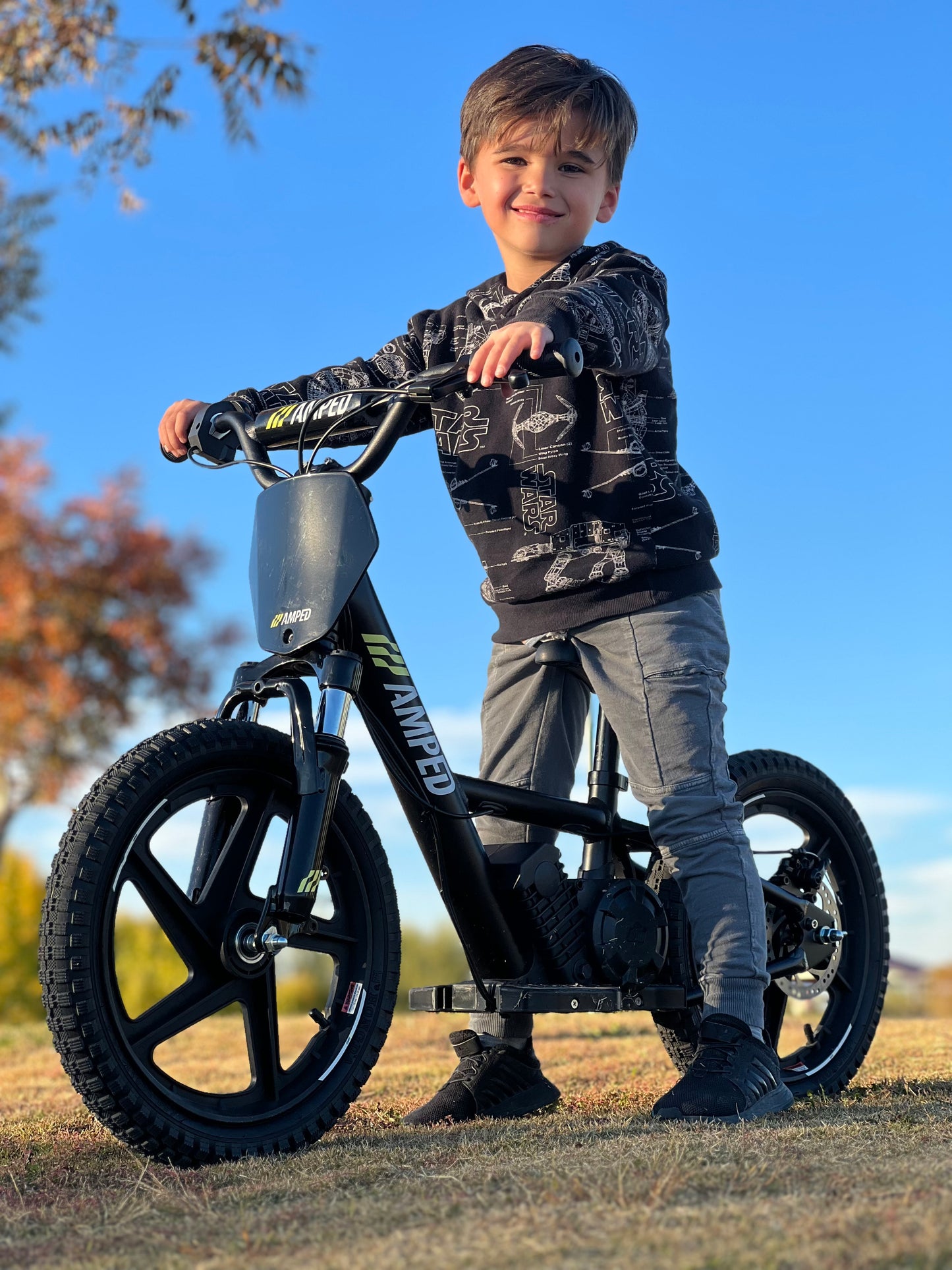 Voltaic Kids Electric Dirt Bike 16'' Lion