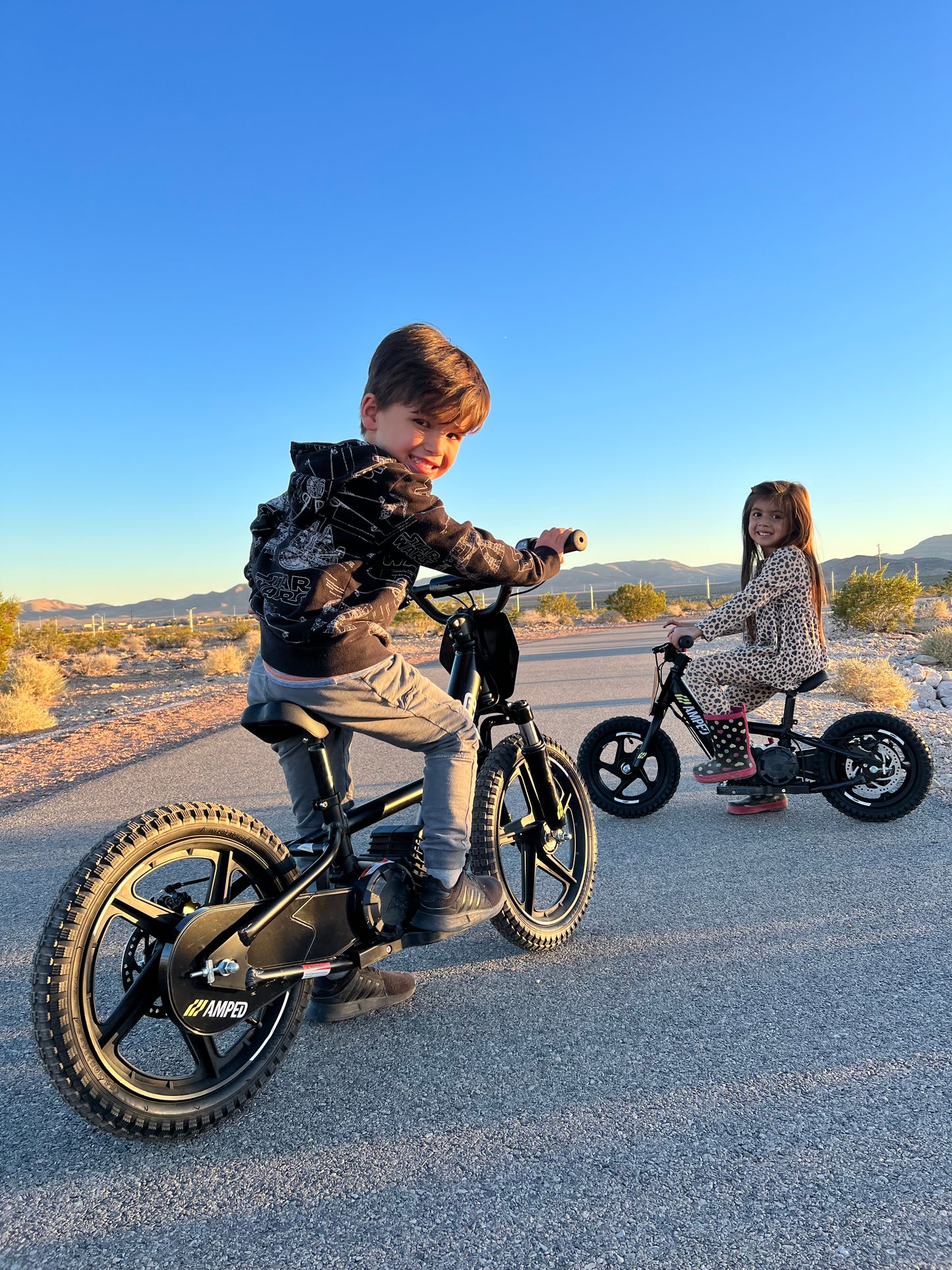 Voltaic Kids Electric Dirt Bike 16'' Lion