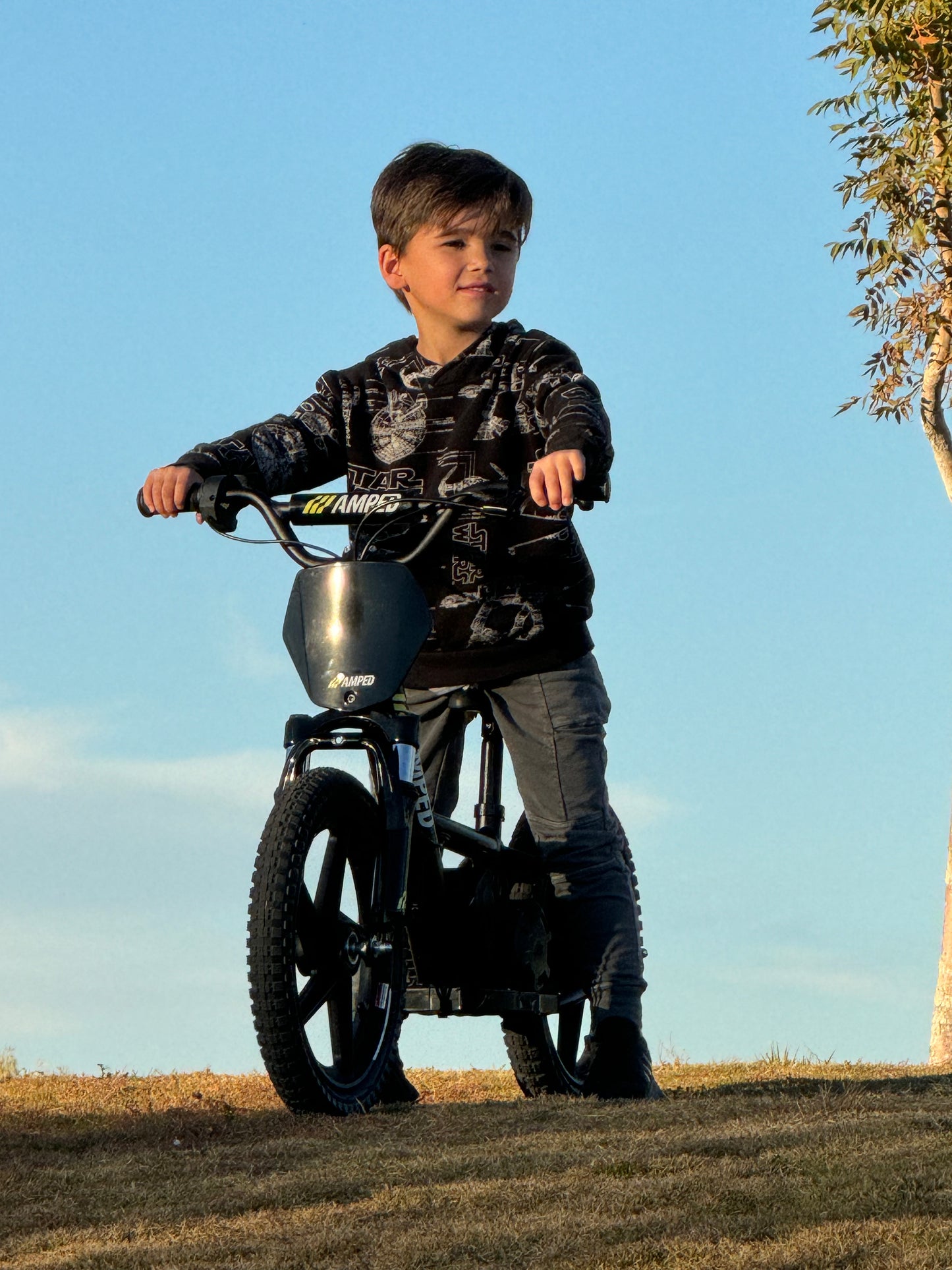 Voltaic Kids Electric Dirt Bike 16'' Lion