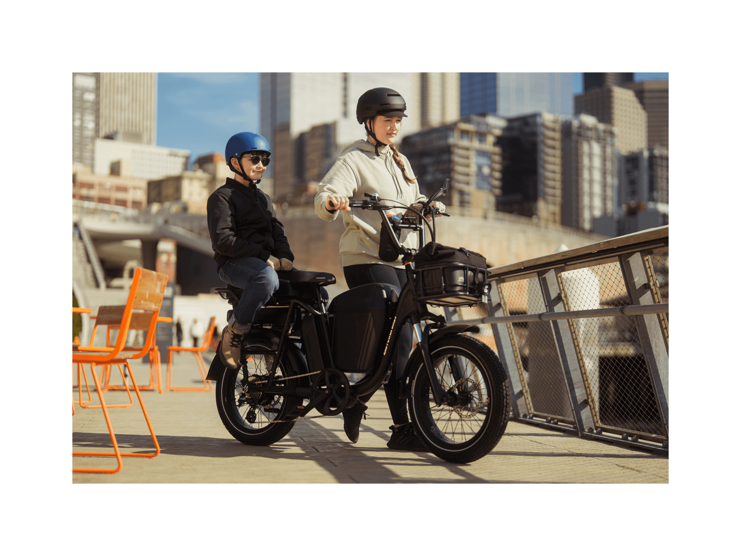 RadRunner Plus Electric Cargo Utility Bike