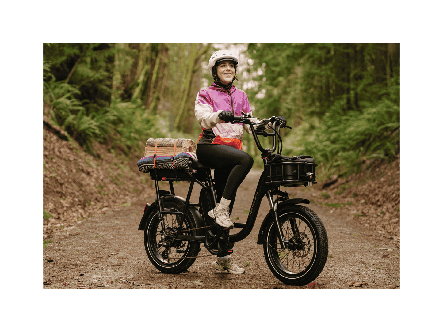 RadRunner Plus Electric Cargo Utility Bike