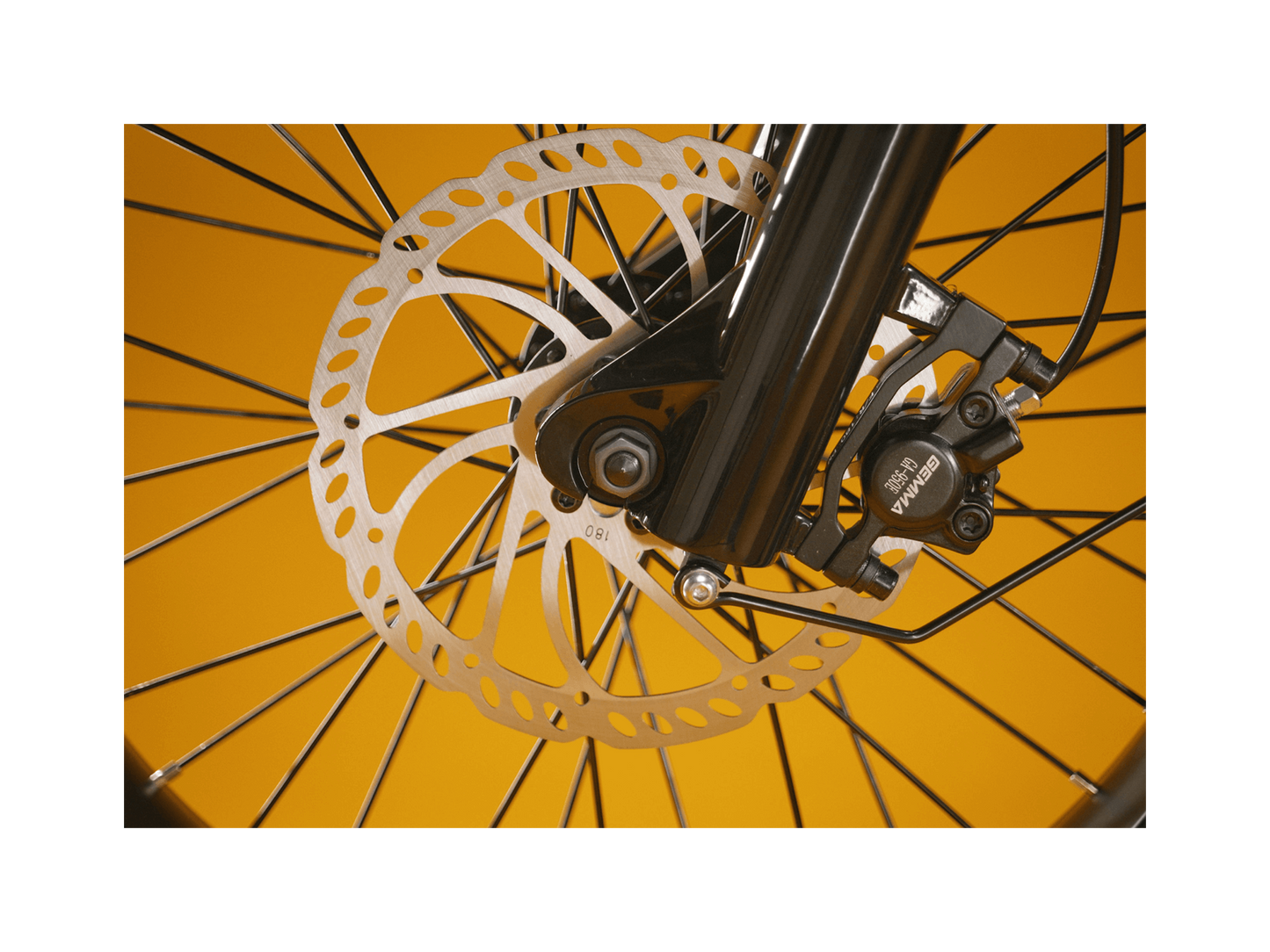 RadRunner Plus Electric Cargo Utility Bike