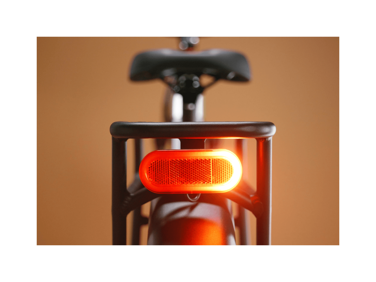 Radster Trail Electric Off-Road Bike