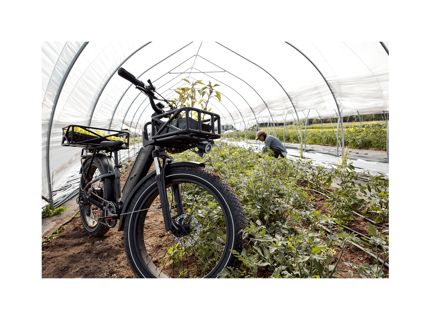 RadRover 6 Plus Electric Fat Tire Bike