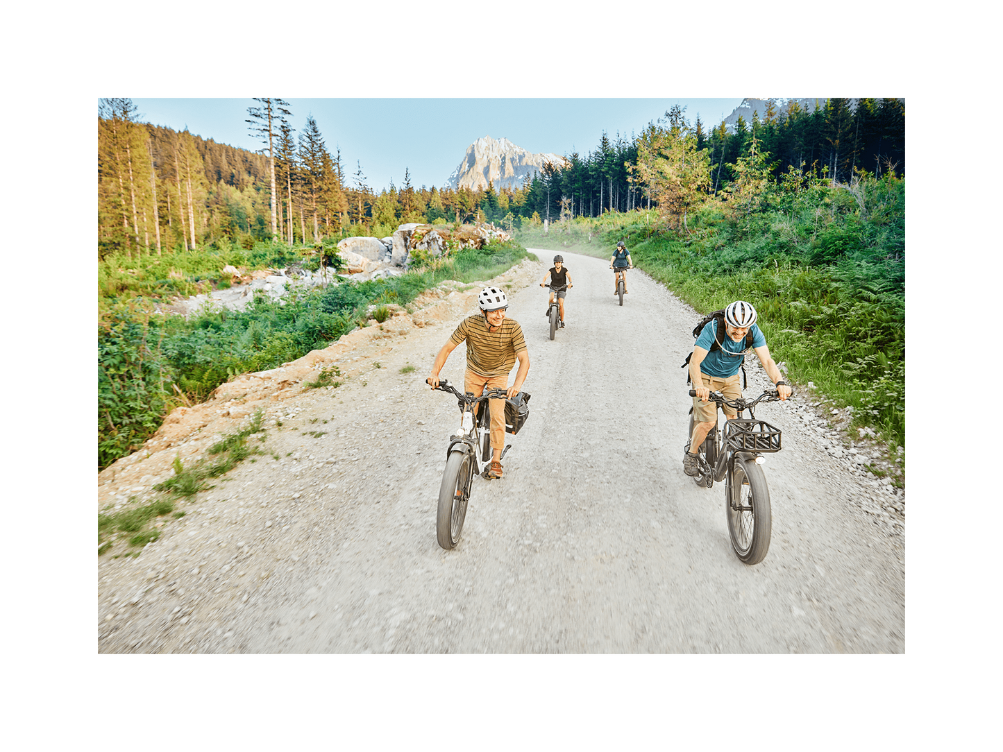 RadRover 6 Plus Electric Fat Tire Bike