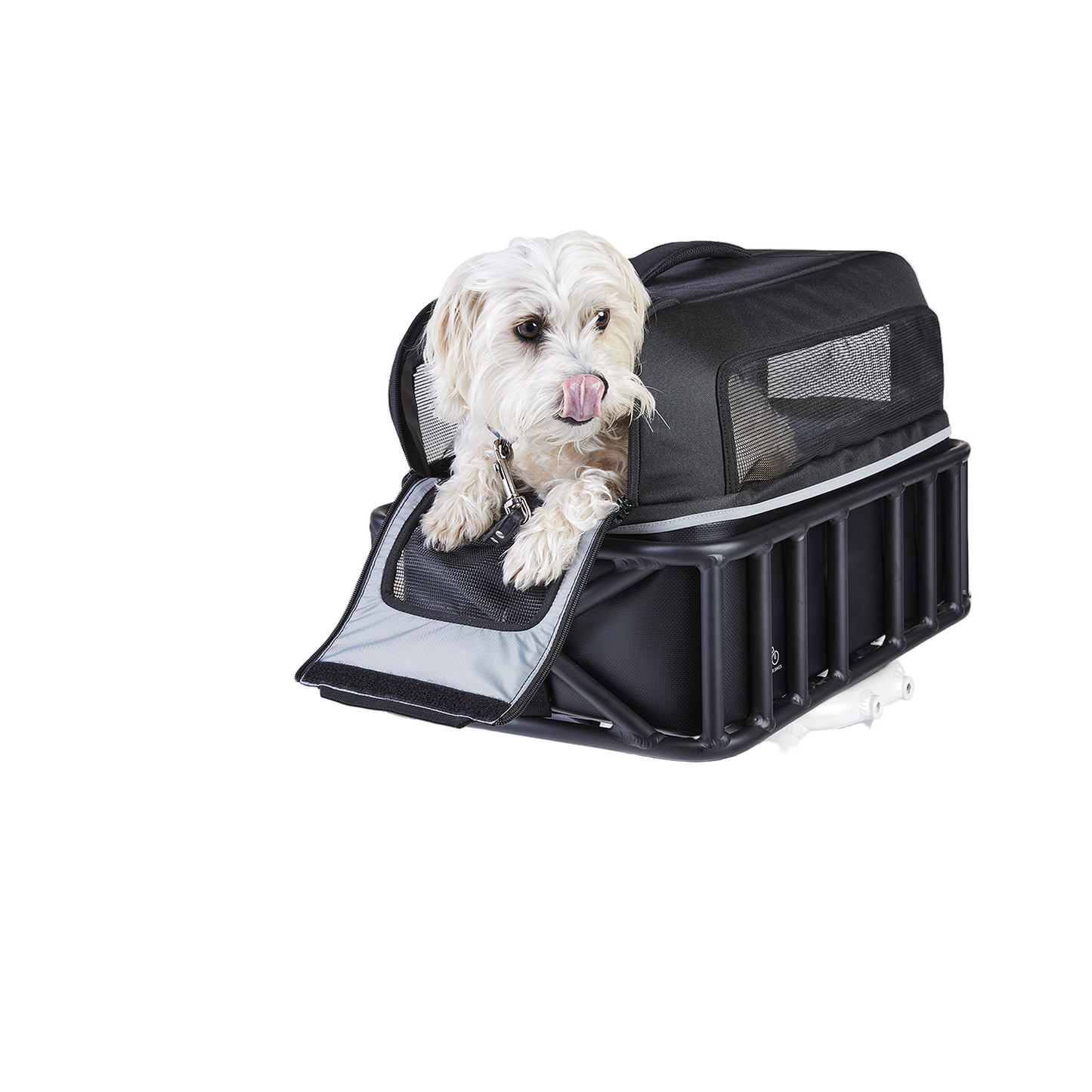 Pet Basket Carrier