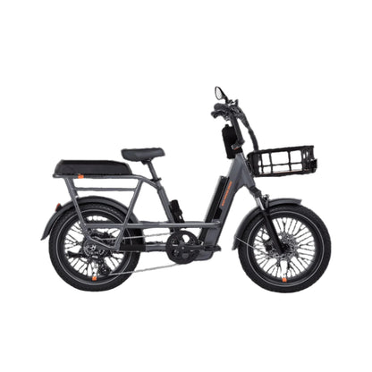 RadRunner 3 Passenger Package