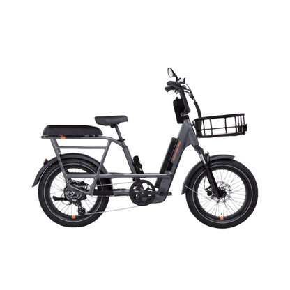 RadRunner 3/RadRunner Max Passenger Package