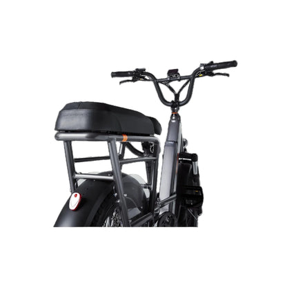 RadRunner 3 Passenger Package