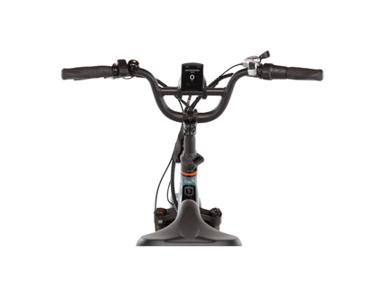 RadExpand 5 Plus Electric Folding Bike