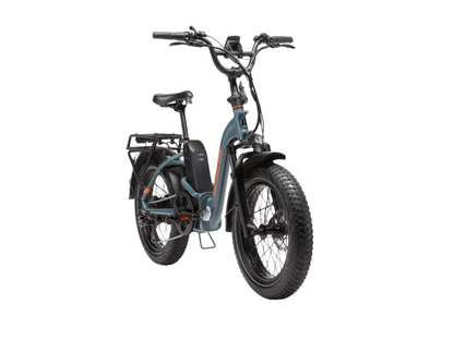 RadExpand 5 Plus Electric Folding Bike