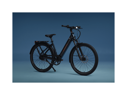RadKick Belt Drive Electric Lightweight Bike