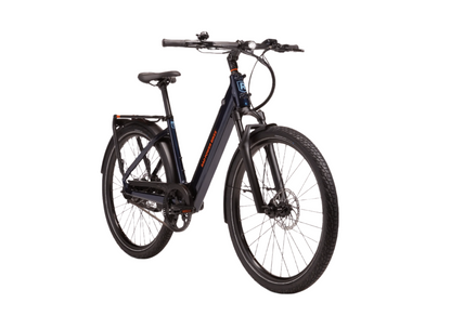 RadKick Belt Drive Electric Lightweight Bike