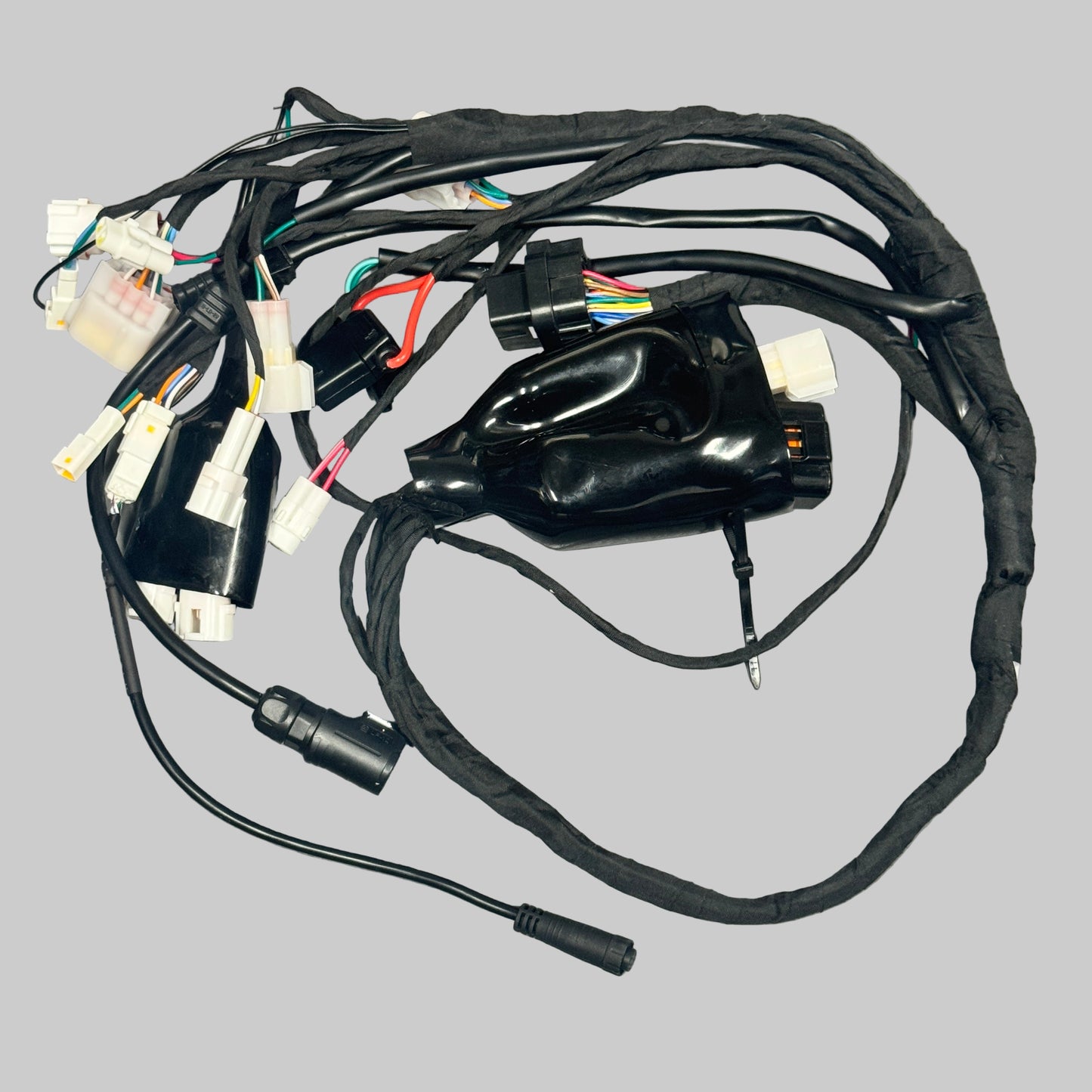 E Ride Pro - OEM L1E Road Legal Conversion Kit