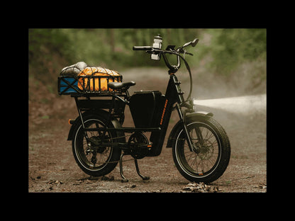 RadRunner™ Max Electric Cargo Utility Bike