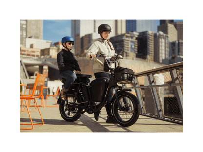 RadRunner Plus Electric Cargo Utility Bike