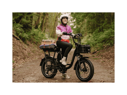 RadRunner Plus Electric Cargo Utility Bike