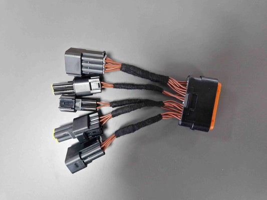 TORP - Replacement Wiring Loom