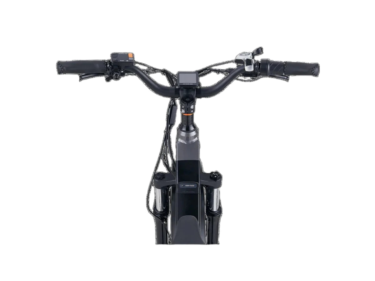 RadRover™ 6 Plus Electric Fat Tire Bike