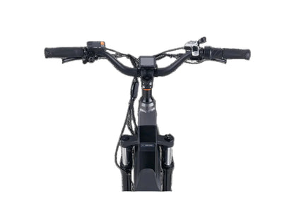 RadRover™ 6 Plus Electric Fat Tire Bike