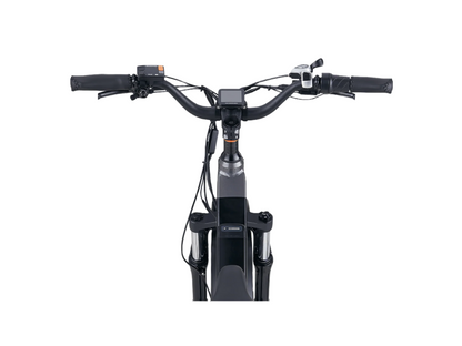 RadRover 6 Plus Electric Fat Tire Bike