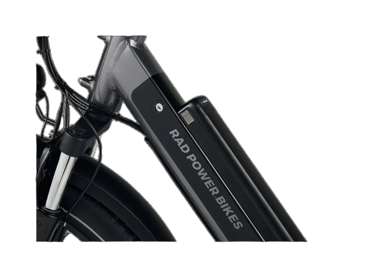RadRover™ 6 Plus Electric Fat Tire Bike
