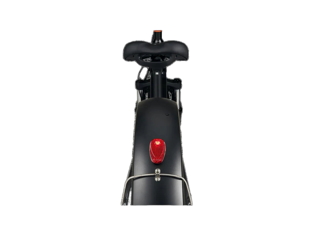 RadRover™ 6 Plus Electric Fat Tire Bike