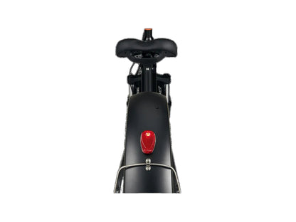 RadRover™ 6 Plus Electric Fat Tire Bike
