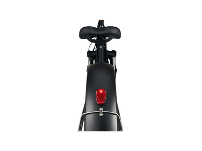 RadRover 6 Plus Electric Fat Tire Bike