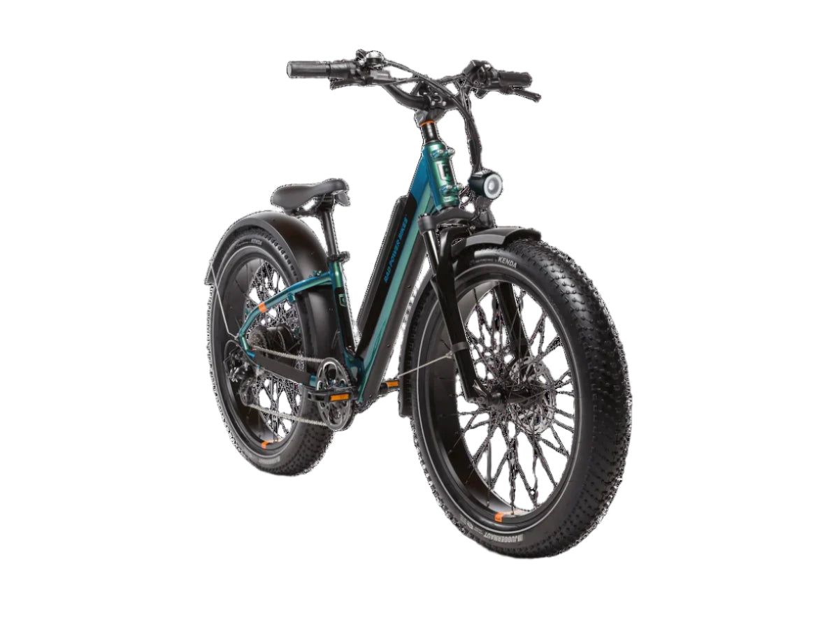 RadRover™ 6 Plus Electric Fat Tire Bike