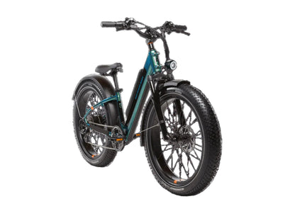 RadRover™ 6 Plus Electric Fat Tire Bike