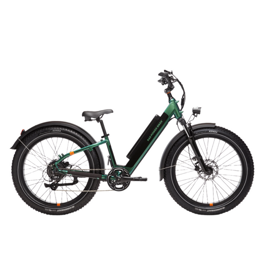 RadRover 6 Plus Electric Fat Tire Bike