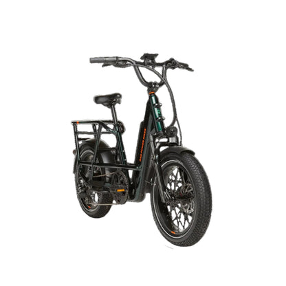RadRunner™ Max Electric Cargo Utility Bike
