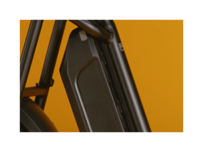 RadRunner Plus Electric Cargo Utility Bike