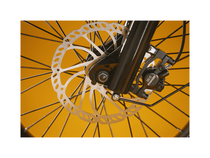 RadRunner Plus Electric Cargo Utility Bike