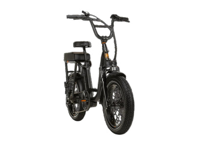 RadRunner™ Plus Electric Cargo Utility Bike