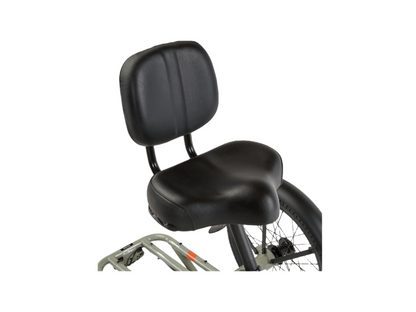 RadTrike Electric Tricycle