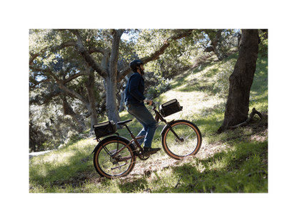 Radster Trail Electric Off-Road Bike
