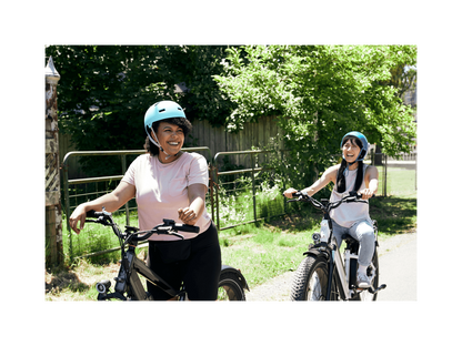 RadRover 6 Plus Electric Fat Tire Bike