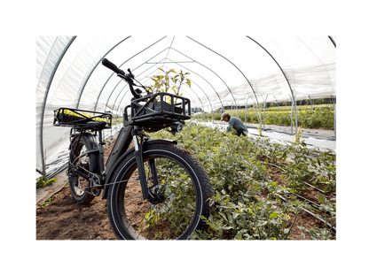 RadRover 6 Plus Electric Fat Tire Bike