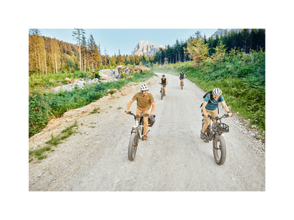 RadRover 6 Plus Electric Fat Tire Bike