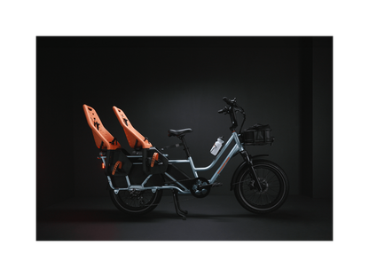 RadWagon 5 Electric Cargo Bike